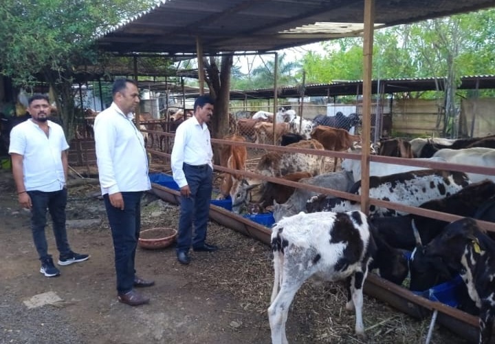 Gau Seva Gallery 1